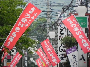 DSCN3265